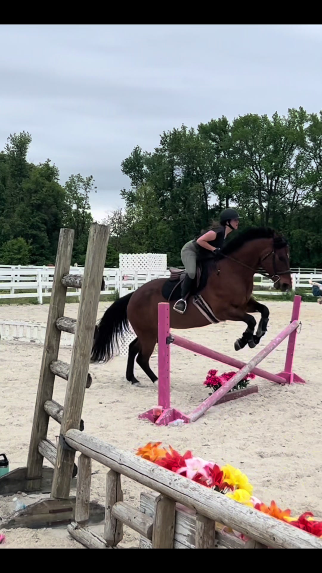 @Aftyn 🐎