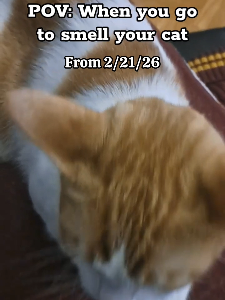 @Candice & Weasley