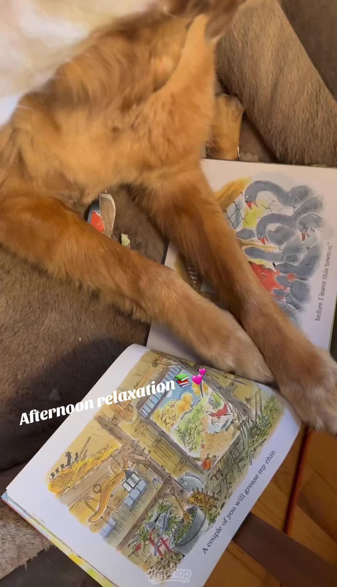 @lifewithduke2025