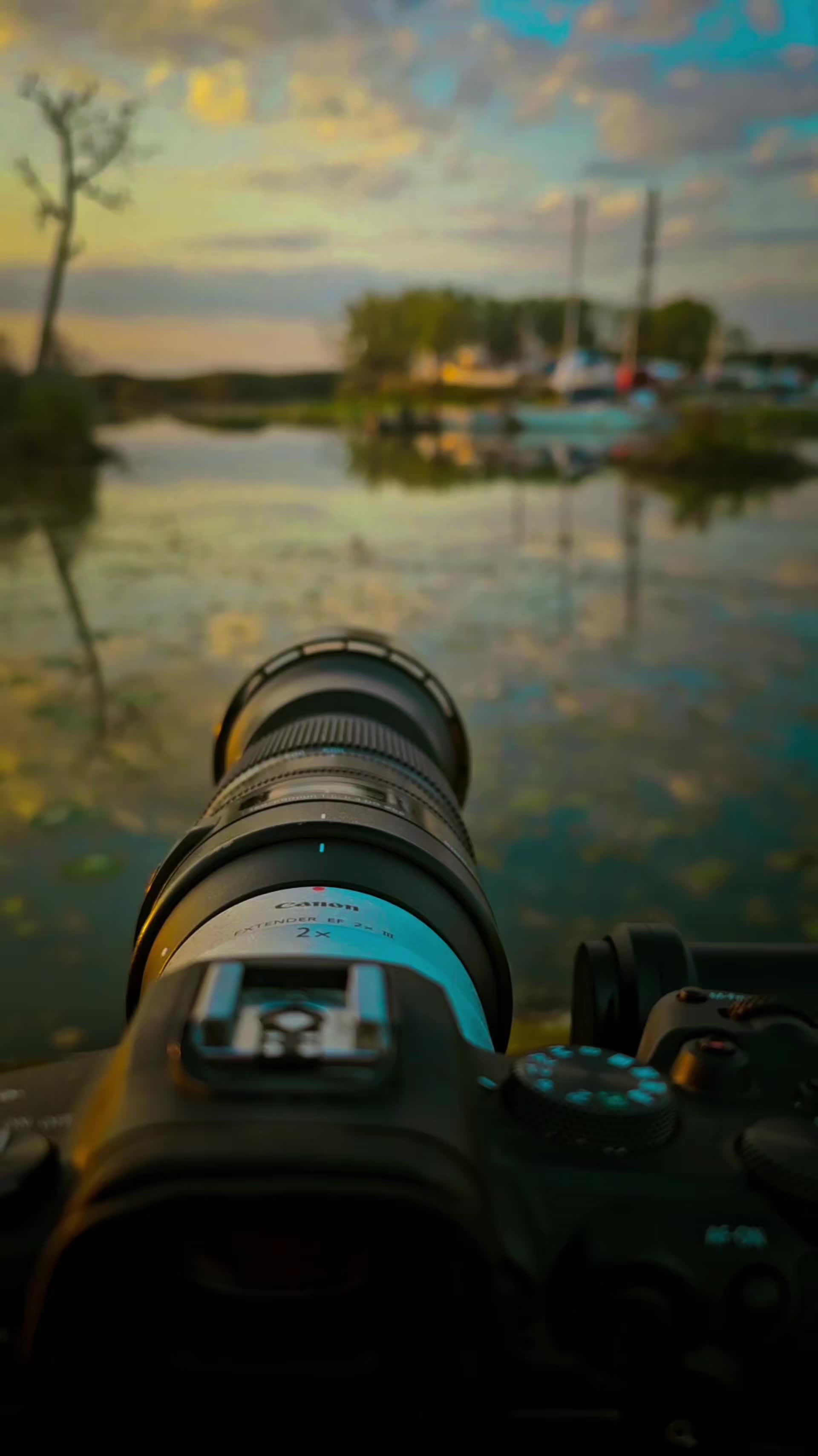 @Josue_wildlife_photography86