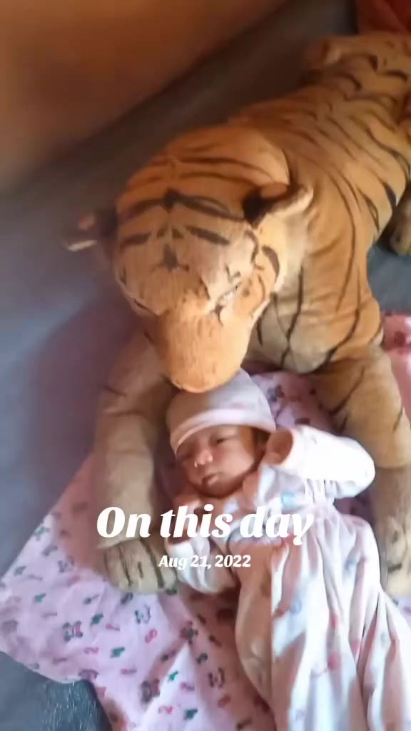 @राजन ज्ञवाली