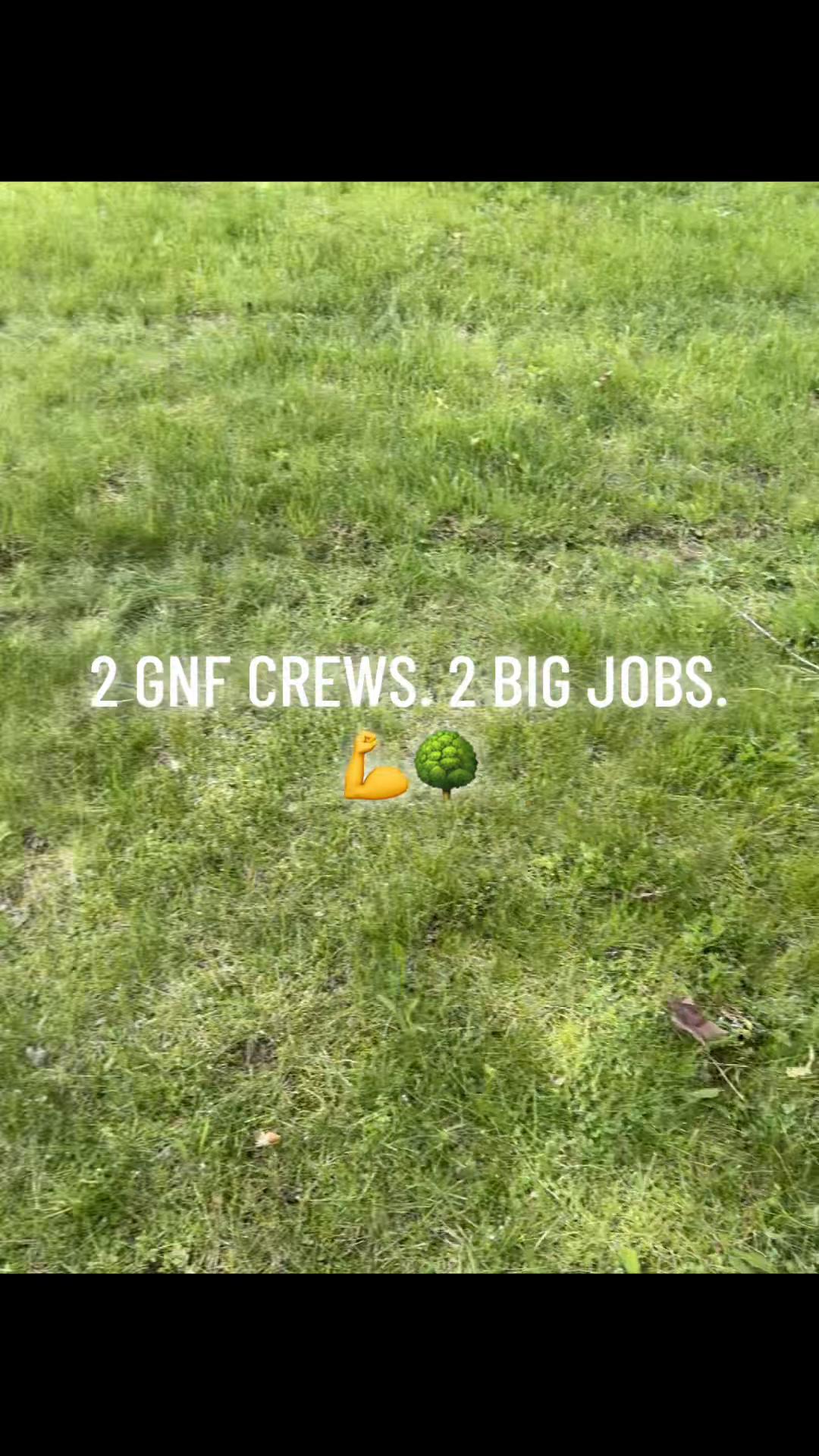 @GNF Services, LLC