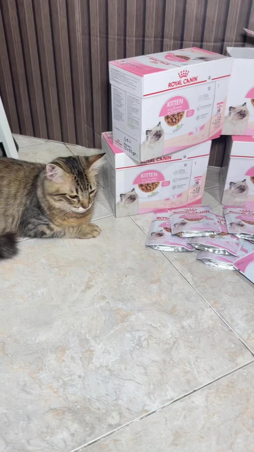 @Regita puspita