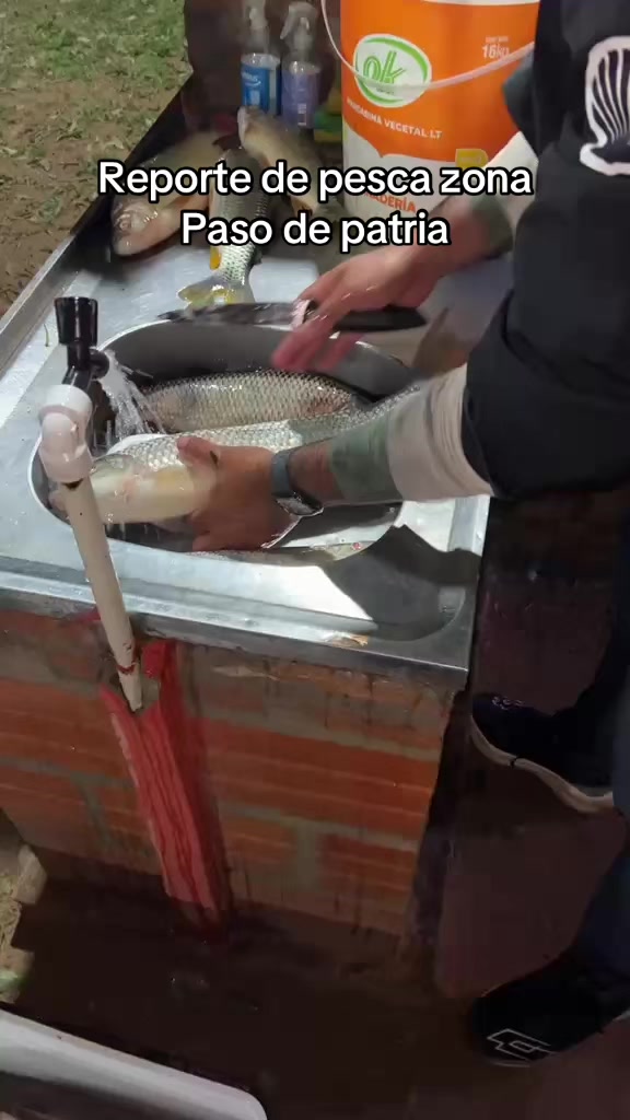 @AnzuelerosPy 🇳🇱🎣