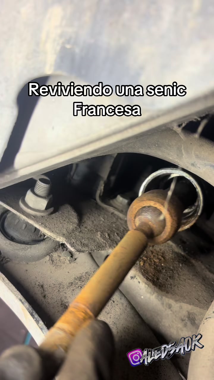 @Aledsaok
