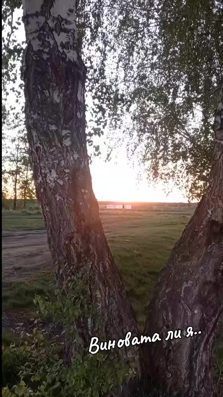 @ksy.sha77