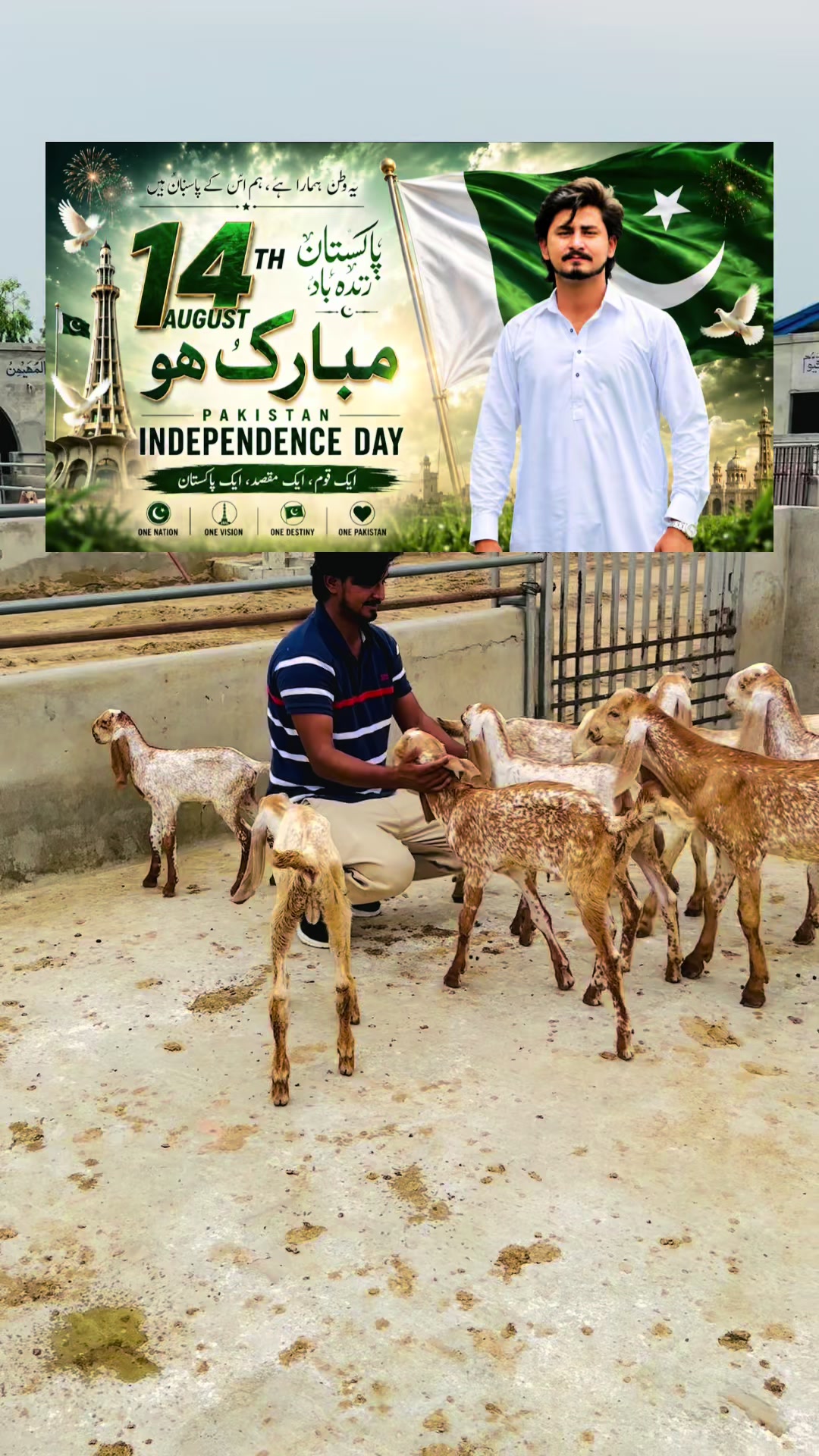 @وقاص روہی والا