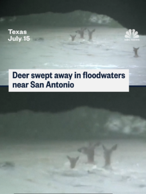 @nbcnews
