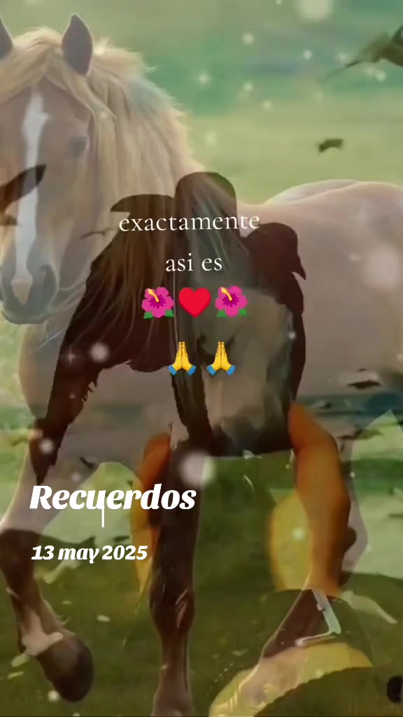 @Dalia Vicente y Juan Mata