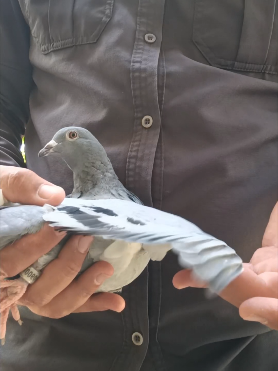 @YARIŞ POSTASI