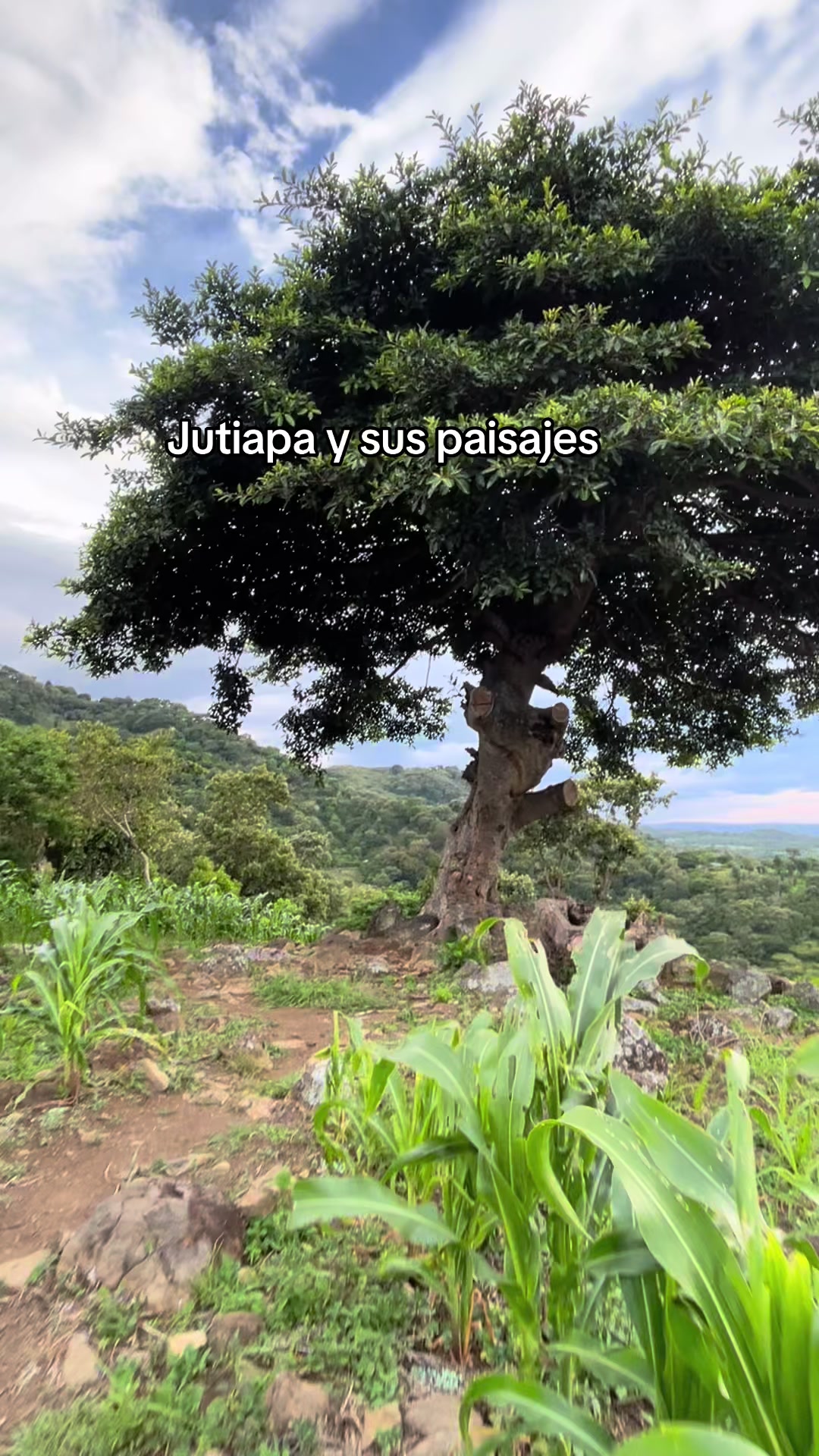 @Daly 2Ramos🧿🔮