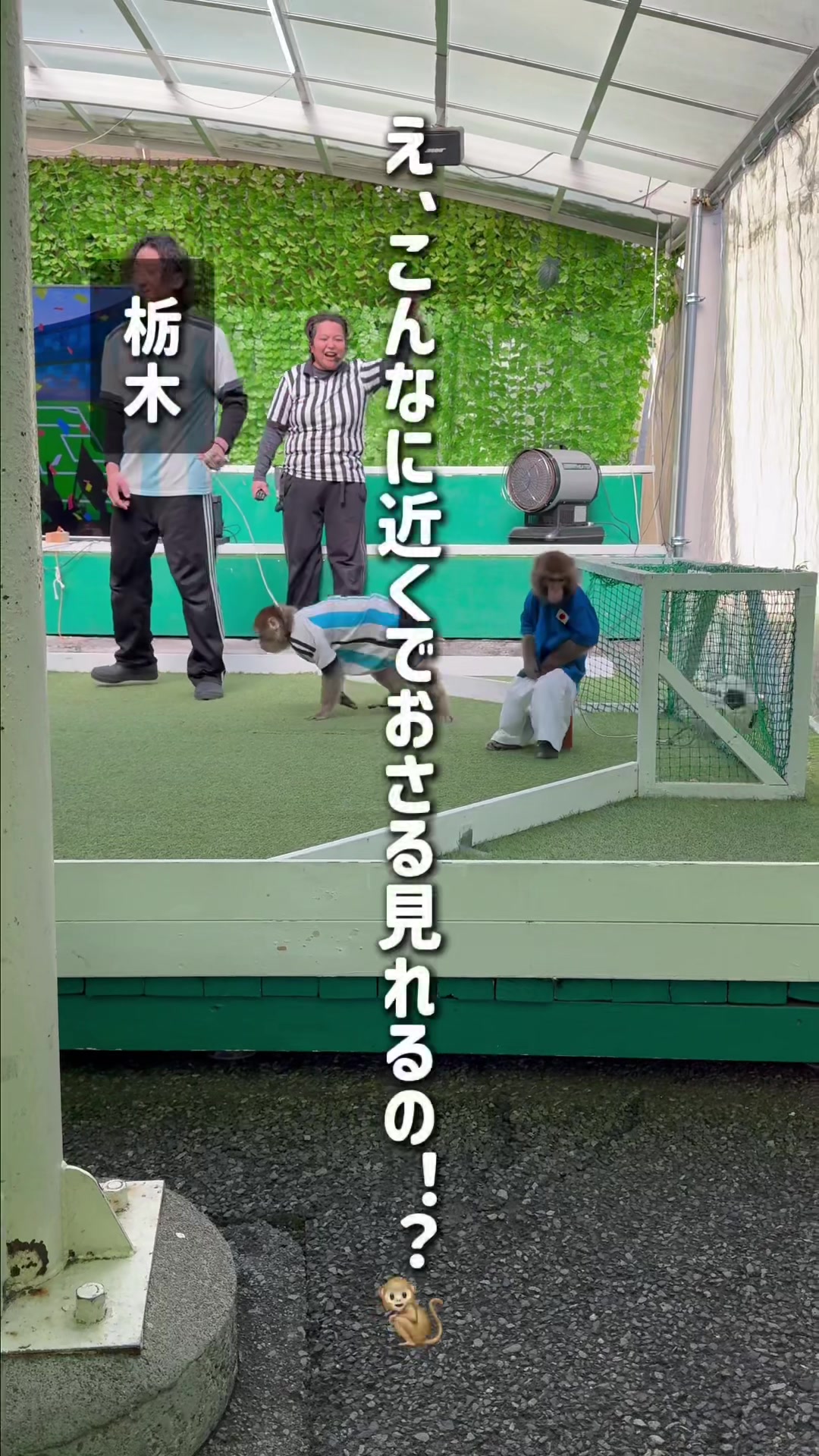 @旅するポンコツ