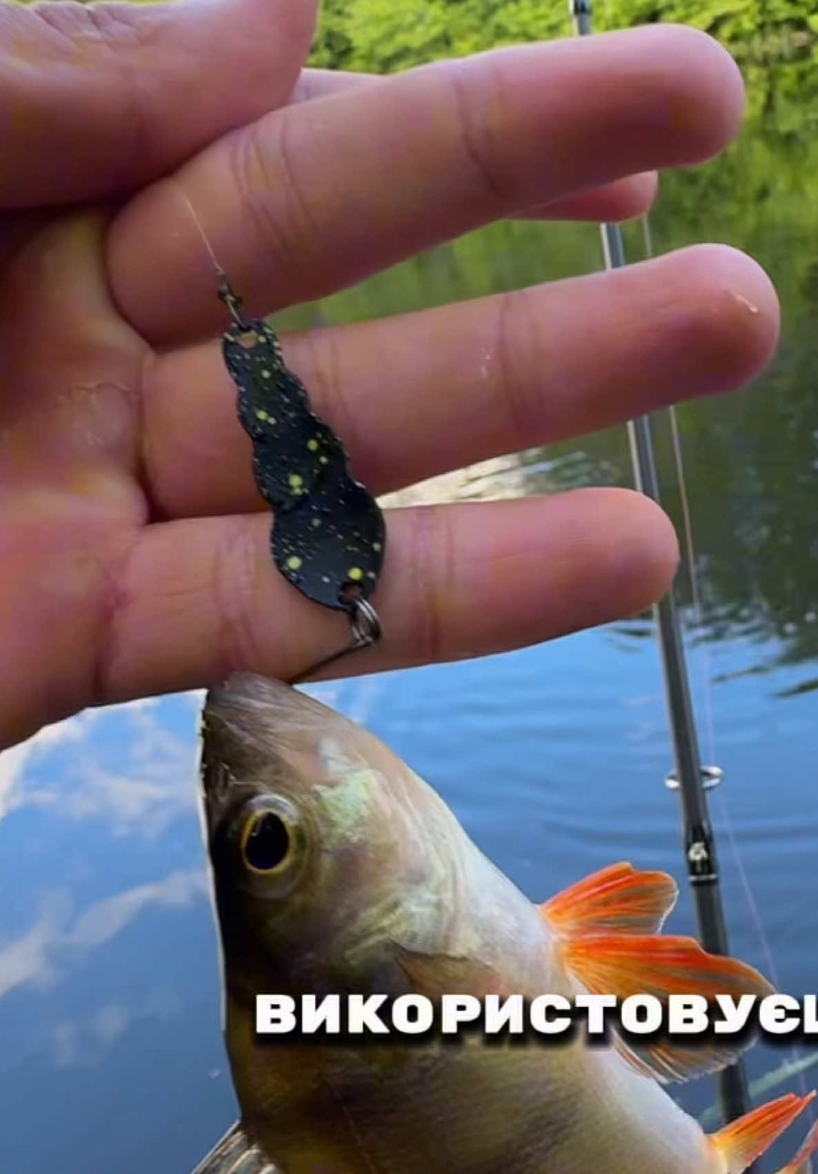@𝗧𝗚.𝗗𝗬𝗫𝗙𝗜𝗦𝗛🎣