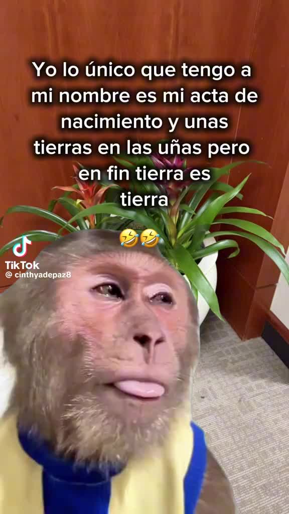 @Rocio Fern&aacute;ndez