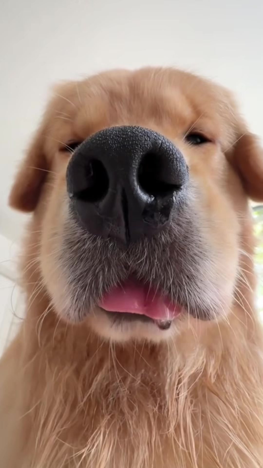 @Joommeng Mee Arai