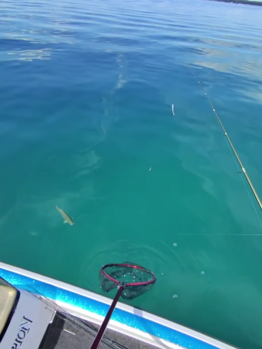 @BassMaxxers