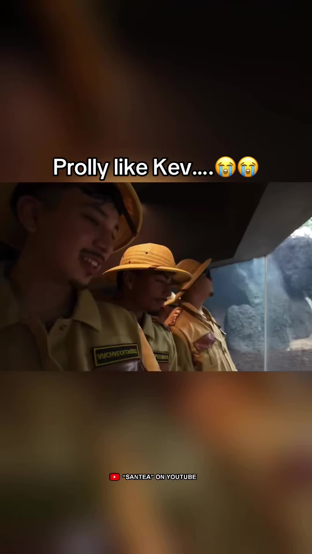 @Turtles0004
