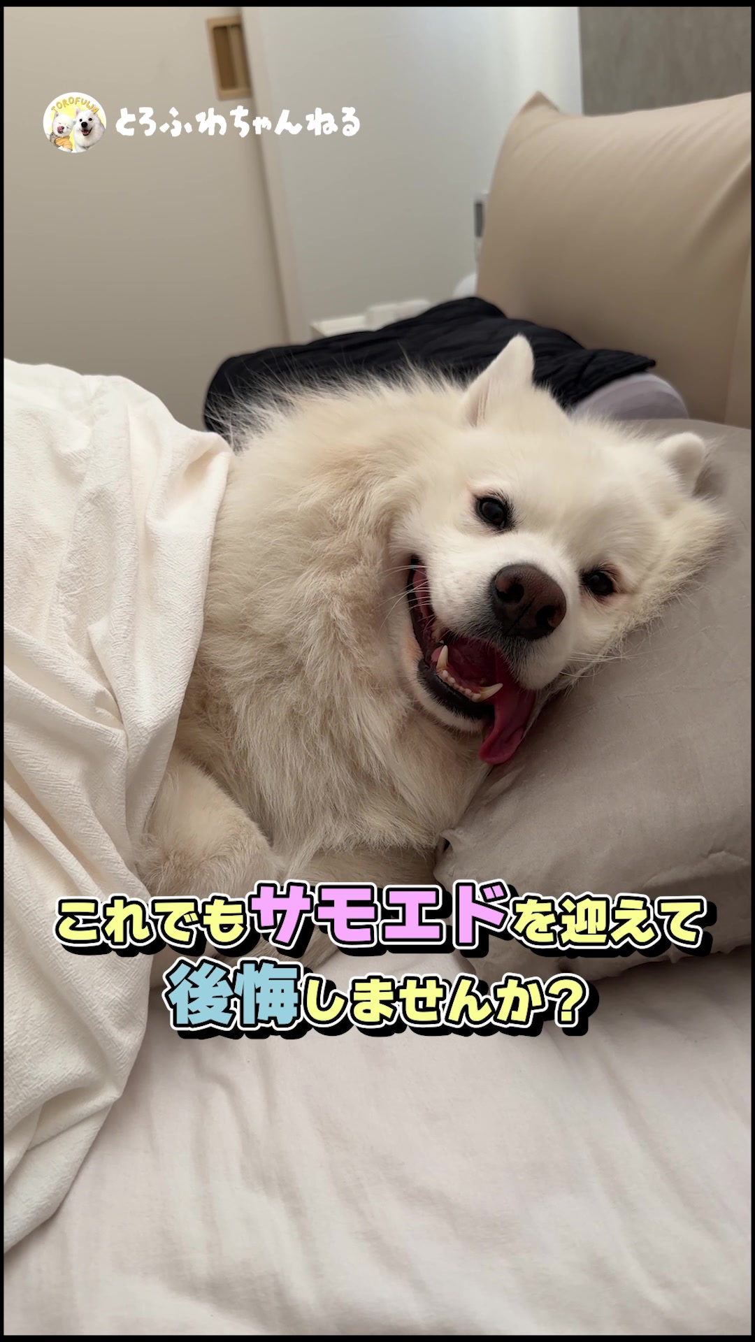 @とろふわ