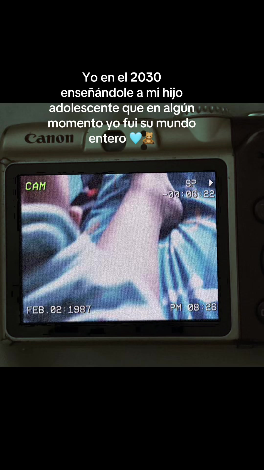 @Dani Arguello