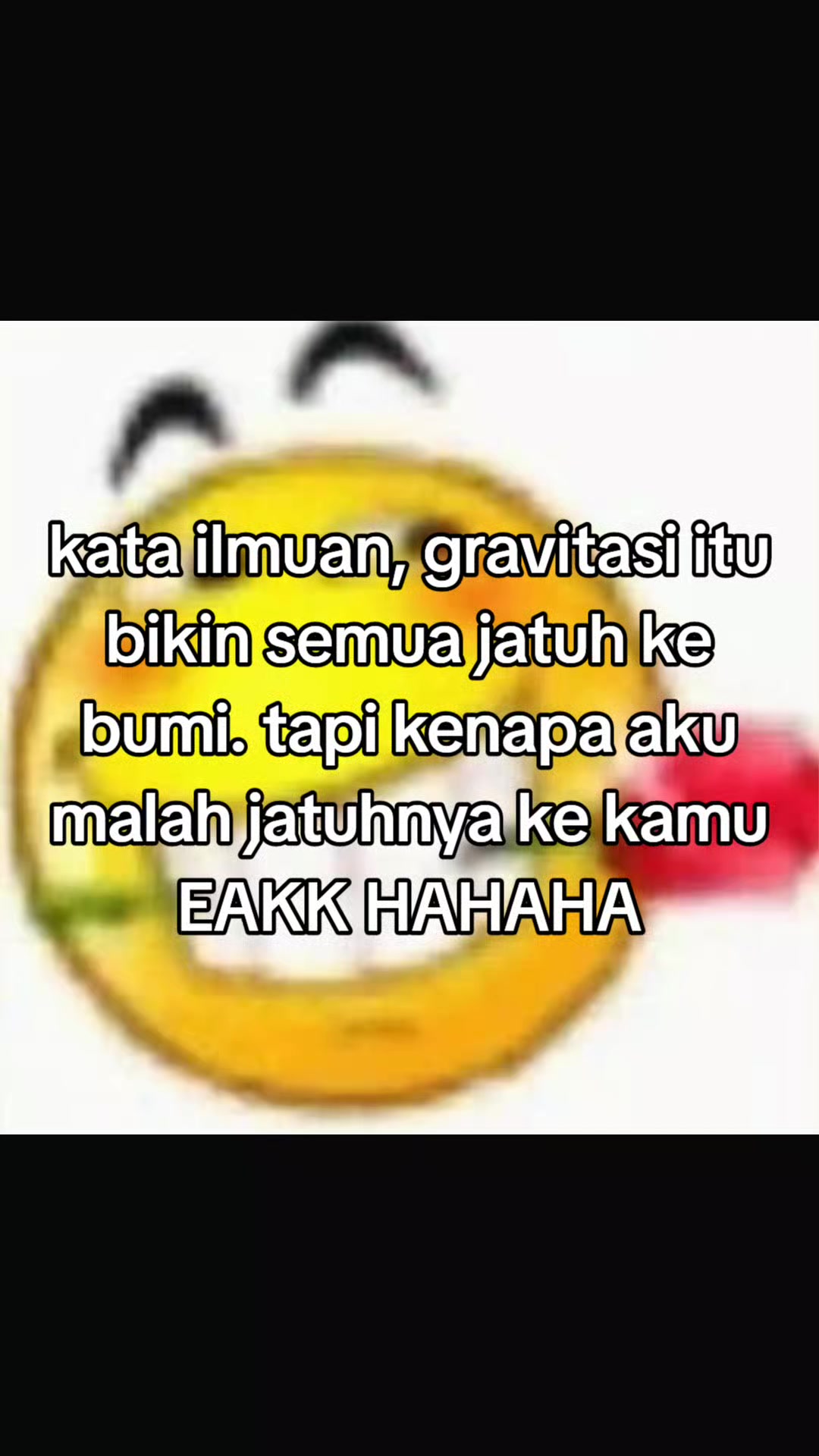 @anindyA :3 🐇💭