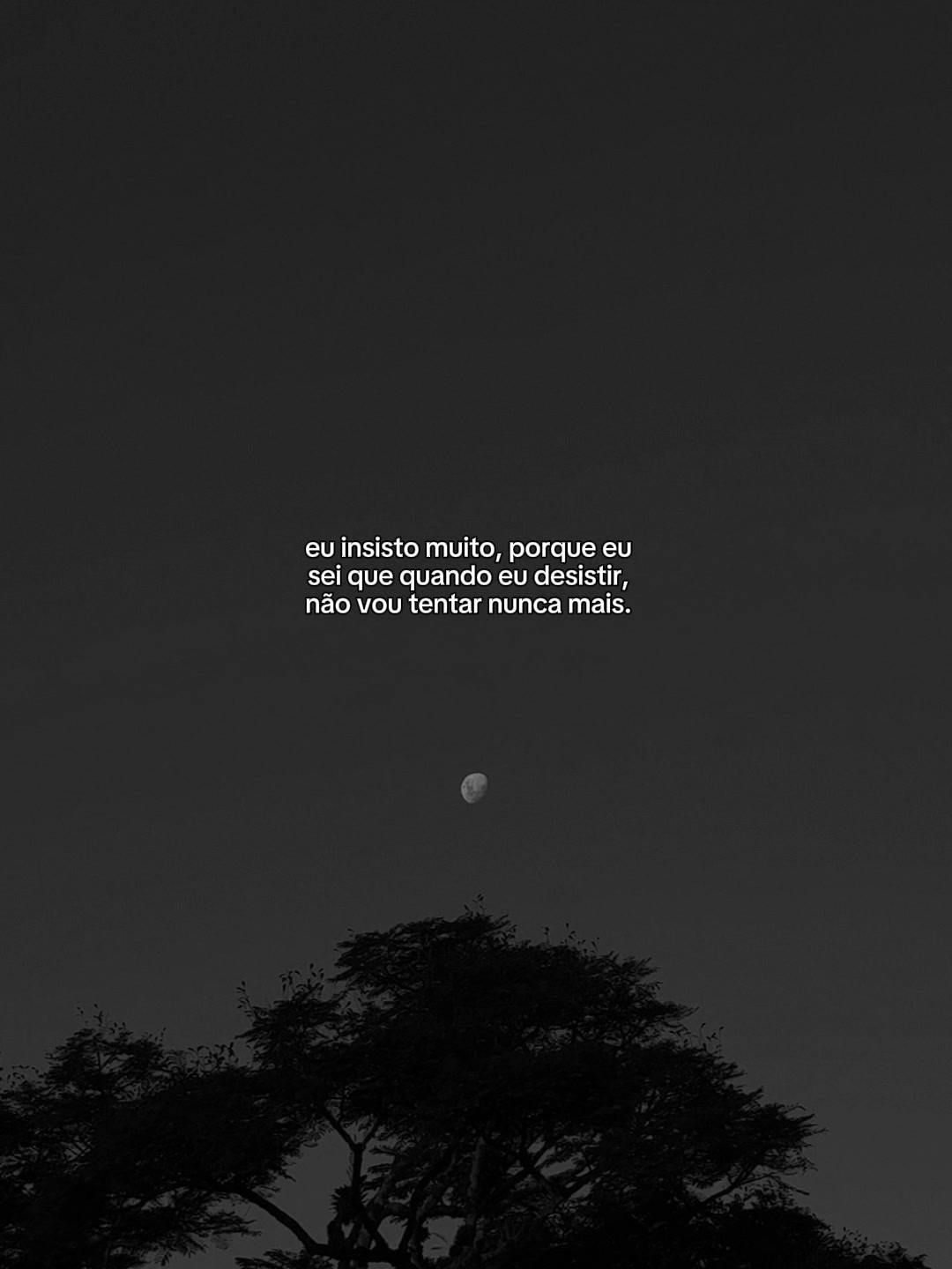 @Sarah Marques ๐ฆ