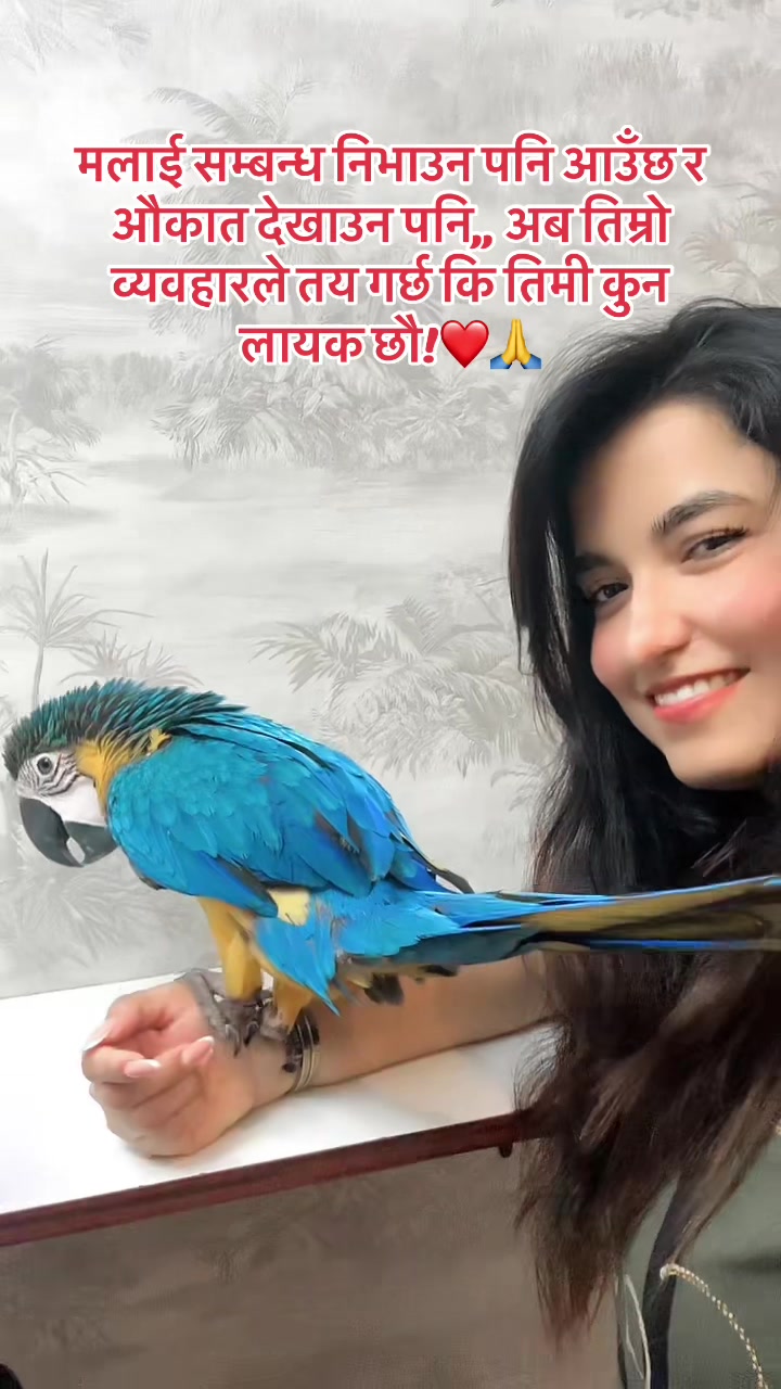@Pushpa❤️