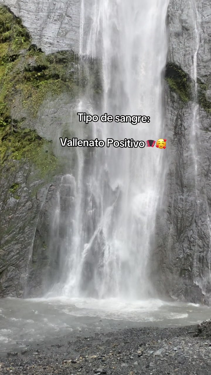 @MarcelaSaenz