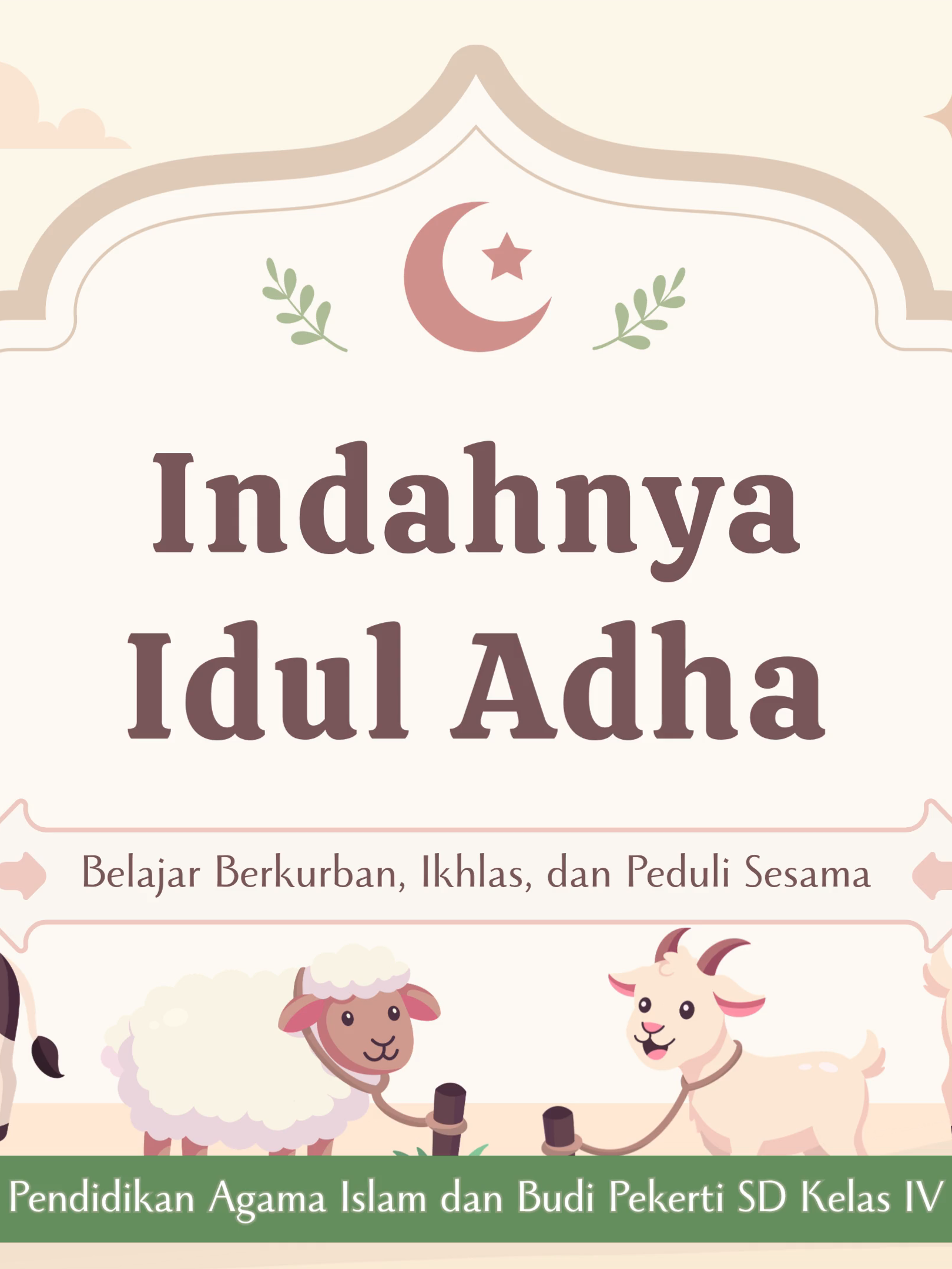 @Mr. Discovery | Canva Edukasi