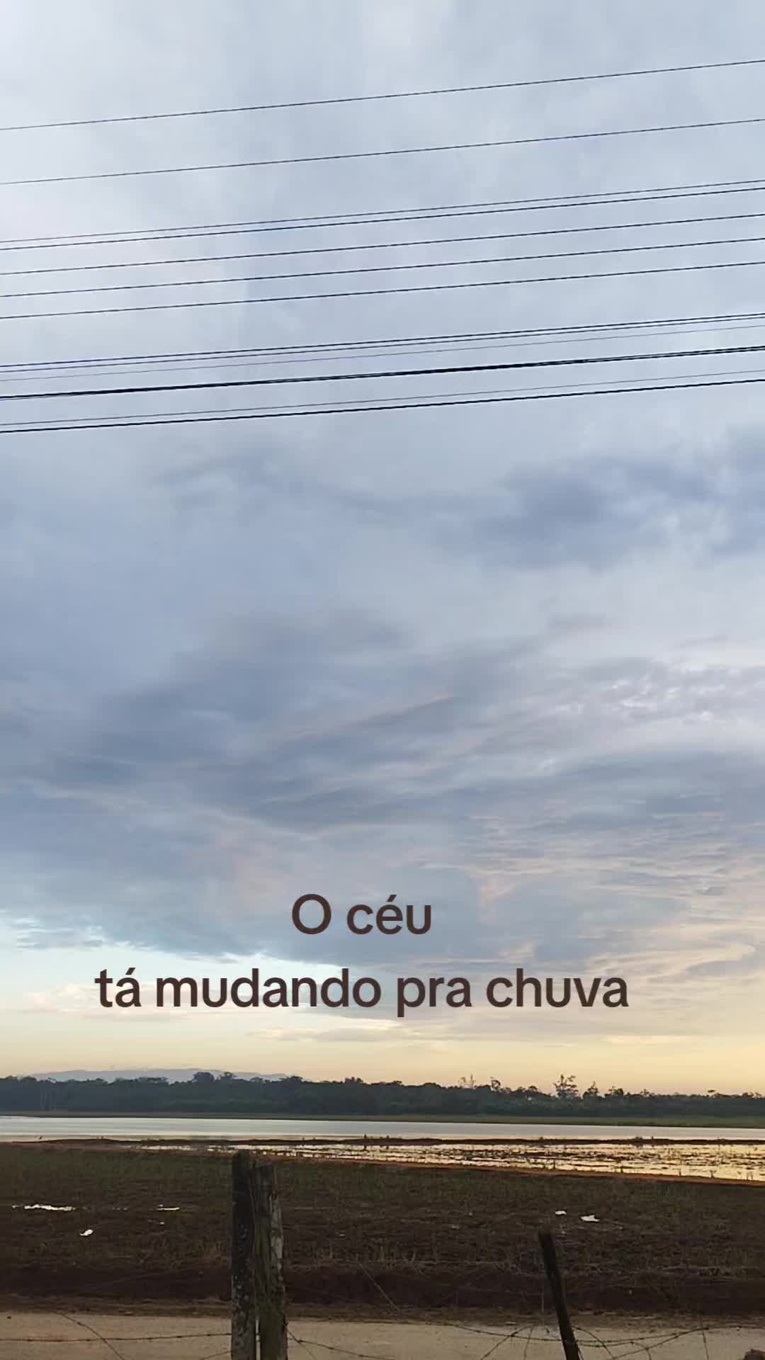@Se Tu Bora Eu Boro 🛻
