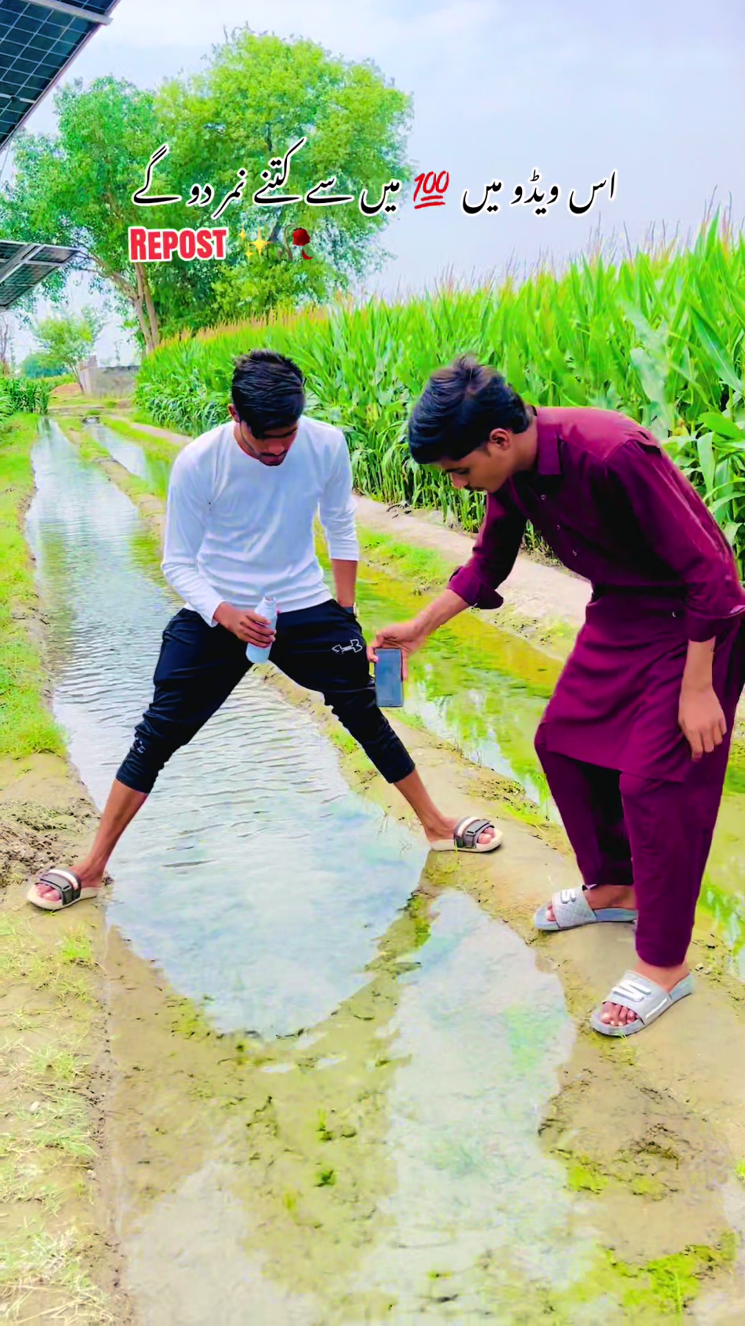 @🌱اویس میئو😎