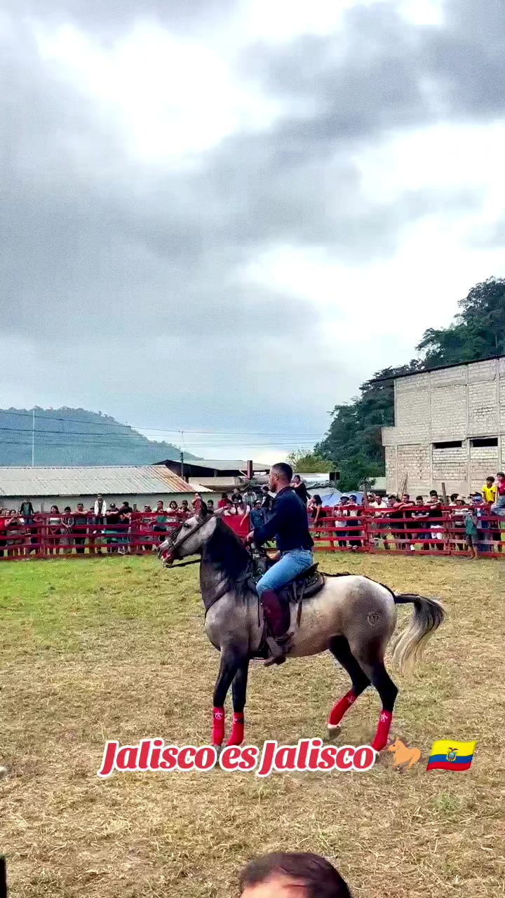 @Galante🐎