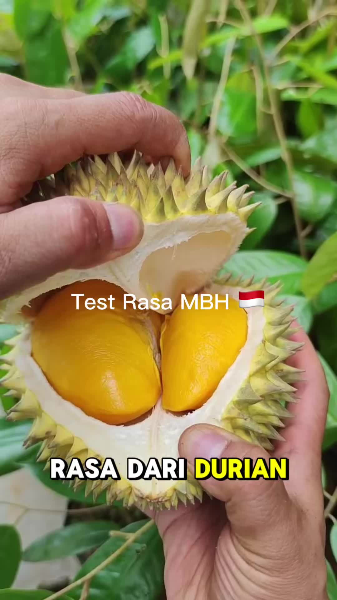 @AA KADU