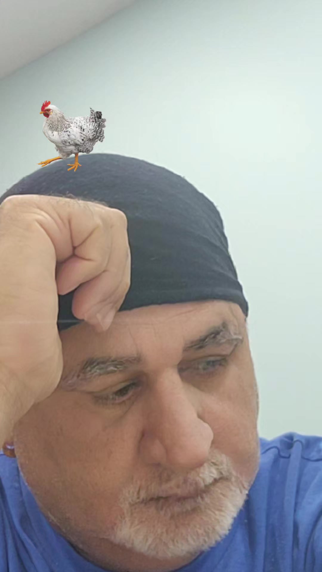 @pritpal.kitoo