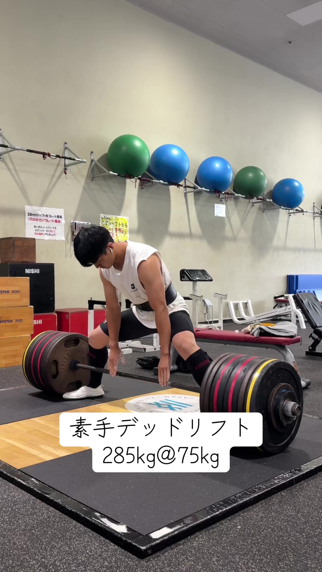 @キクタン【円盤投げてます】