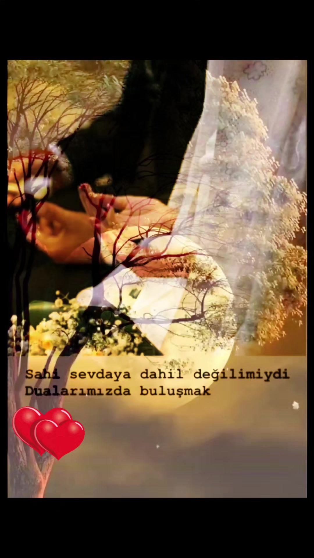 @Ayperi