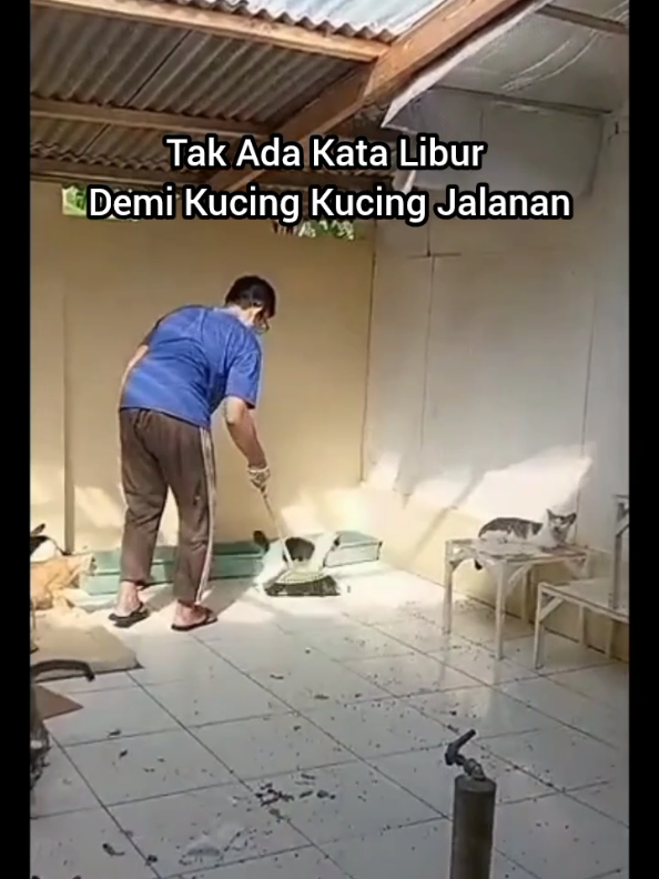 @Kucing Rumah Ronal