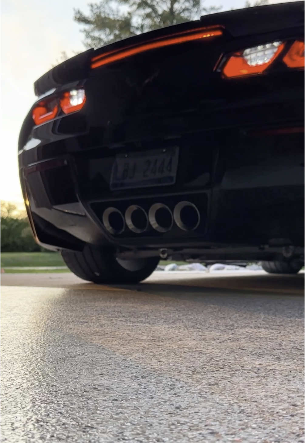 @3_pedal_family