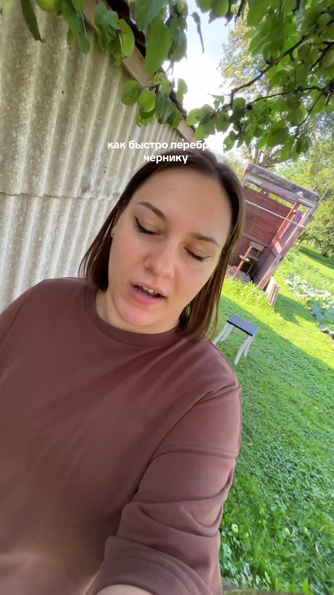 @chymborr