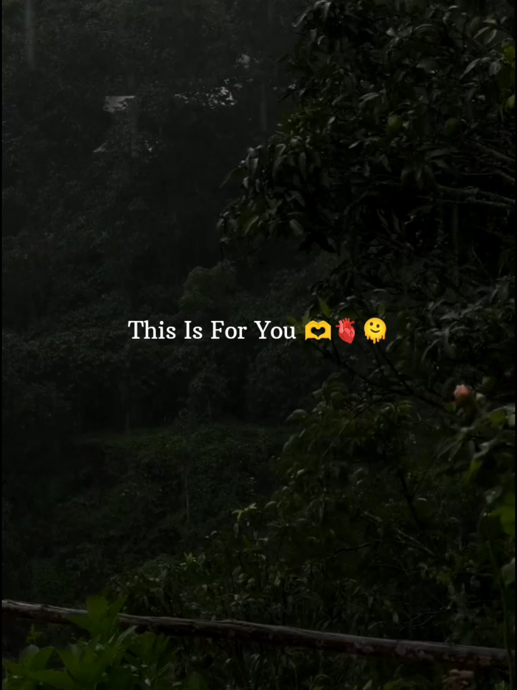 @𝘼𝙐𝙉 𝙓 𝙀𝘿𝙄𝙏𝙕