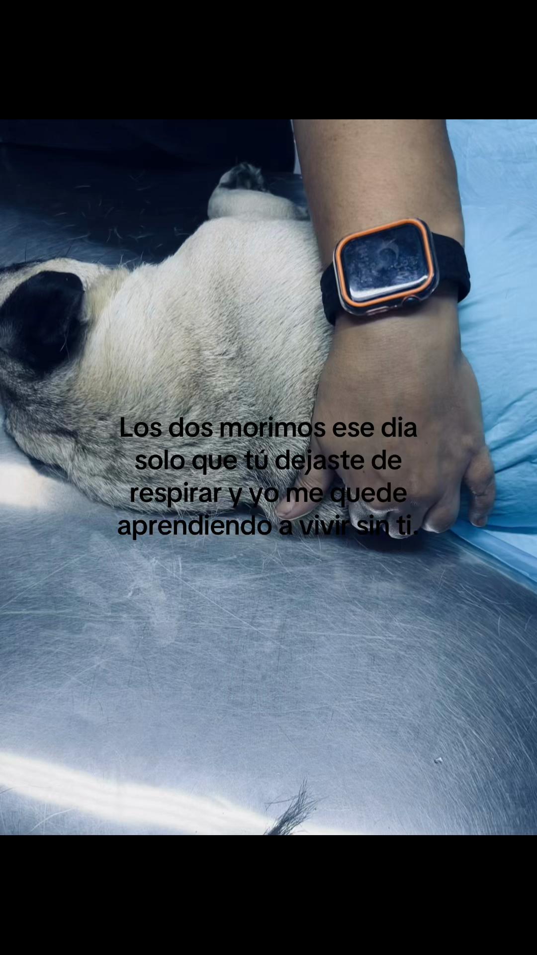 @huamba🤪