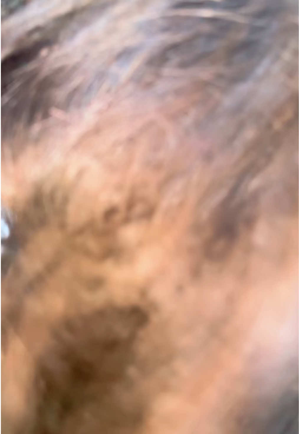 @Vishakhaꫂ᭪݁