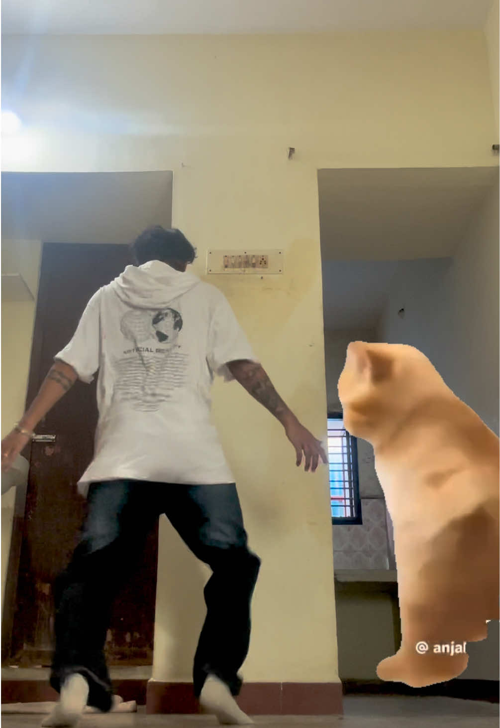 @rajesh jr