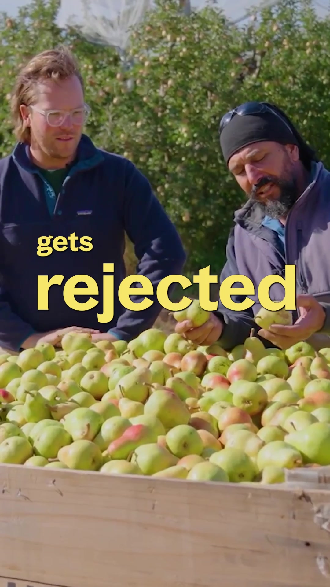 @Farmers Pick