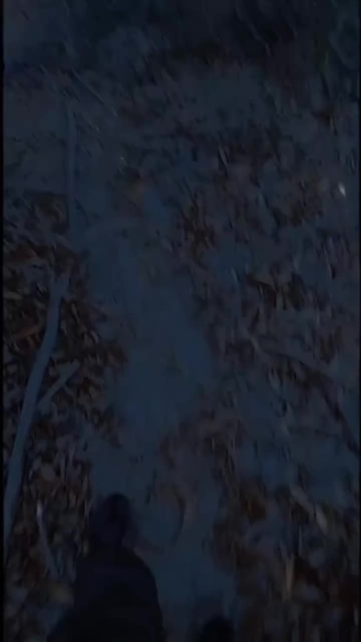 @SIDONTIP