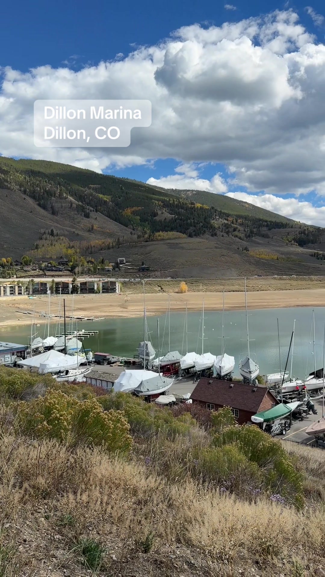@Colorado Business Finder