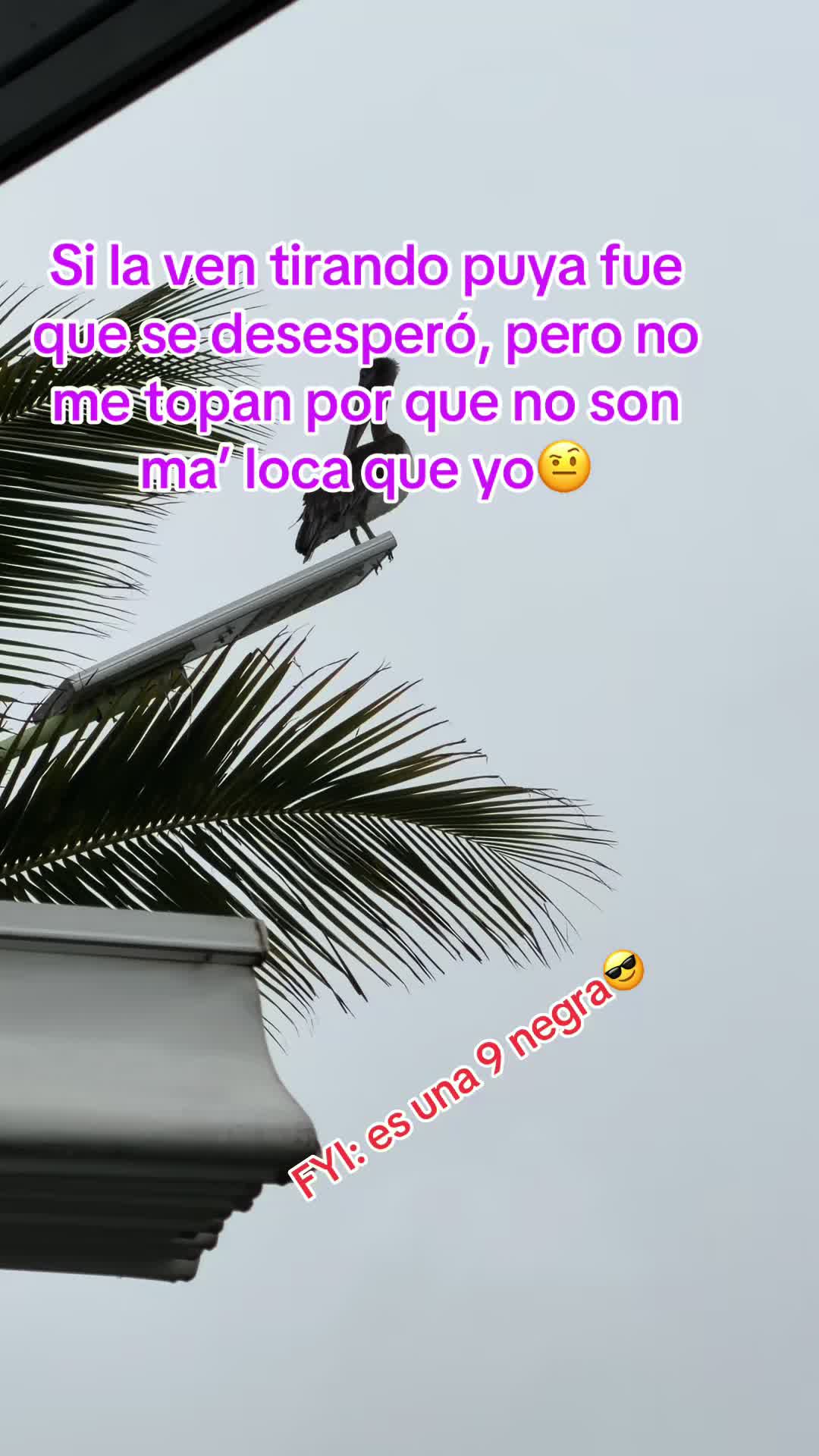 @@warkina💕👑