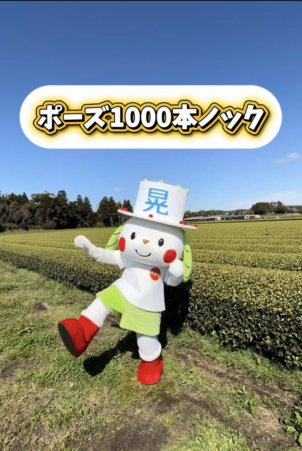@お茶わんこはがねちゃん 堀口製茶PRキャラ