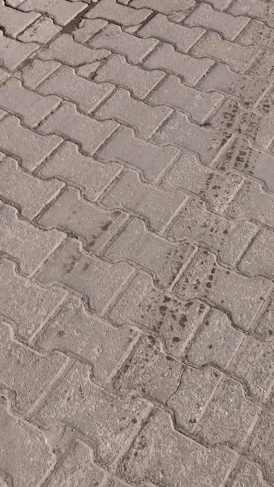 @İ.Ö