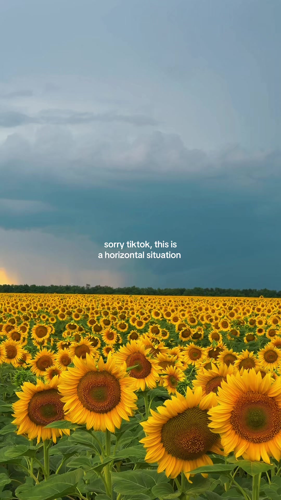 @Irisha Dimi