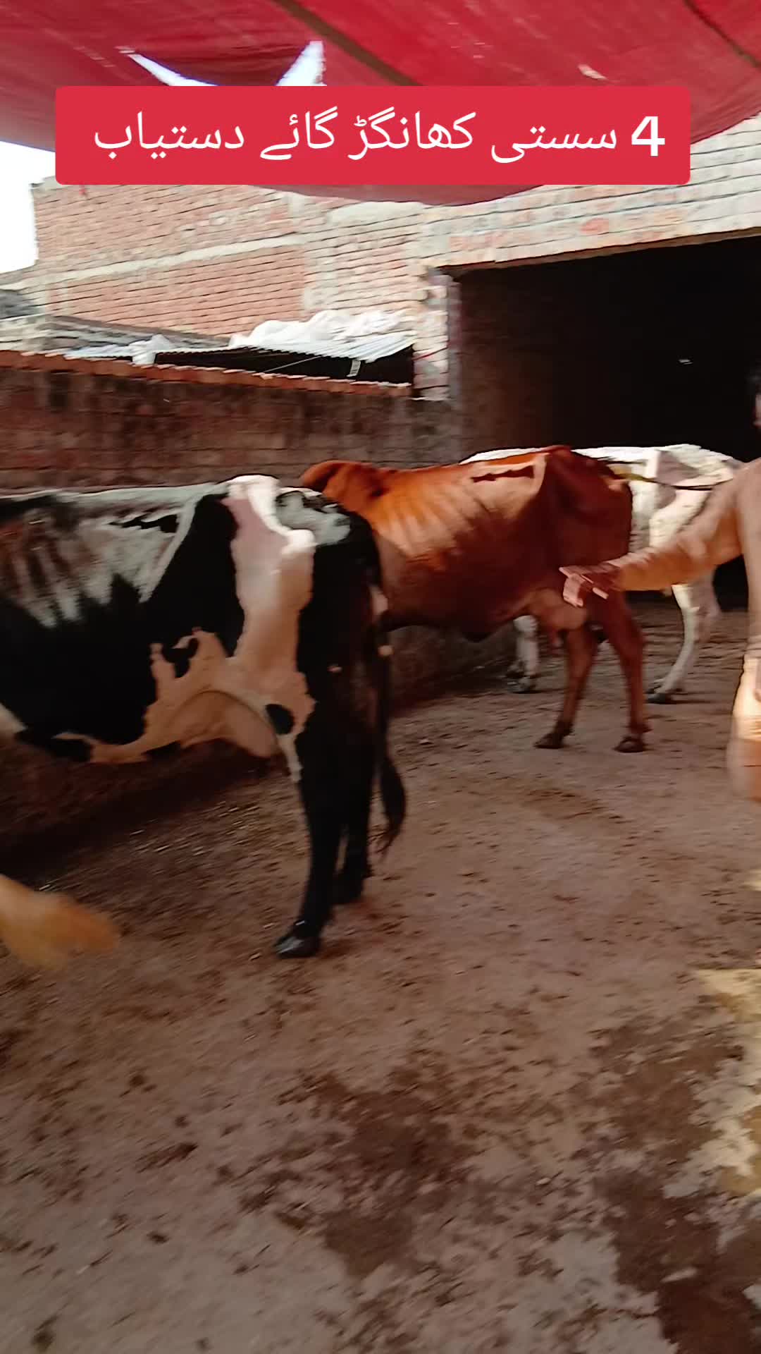 @Farming and Business Ideas